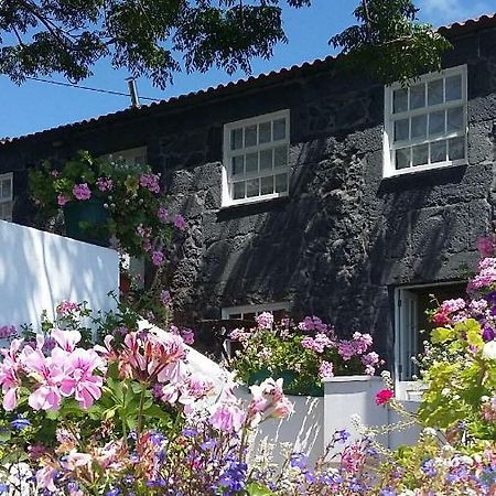 Casa Do Ze - Al Guest House Manadas Екстериор снимка