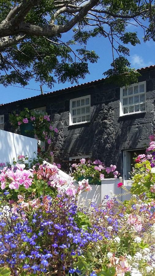 Casa Do Ze - Al Guest House Manadas Екстериор снимка